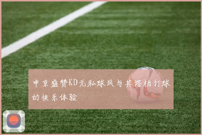 申京盛赞KD无私球风与其搭档打球的快乐体验