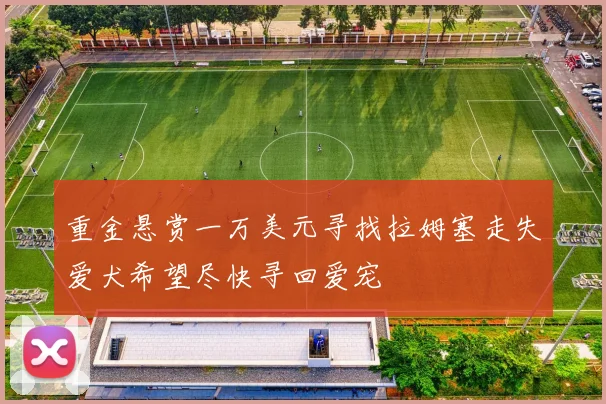 重金悬赏一万美元寻找拉姆塞走失爱犬希望尽快寻回爱宠